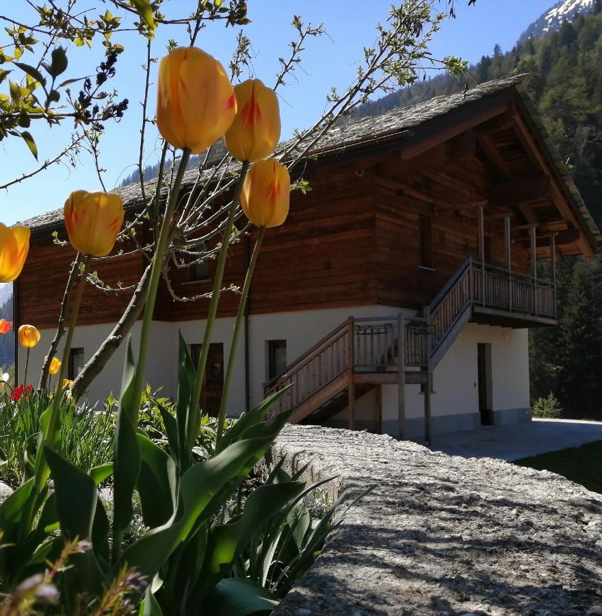 B&B Lorelei Грессоне-Сен-Жан Екстер'єр фото